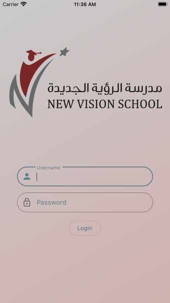 New Vision School