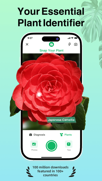 Plant Identifier: ChatPlant AI