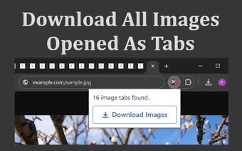 Download Image in Tabs