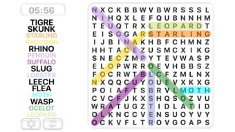 Word Search Games in english