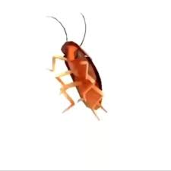 Dancing Cockroach M U G E N