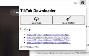 TikTok Downloader