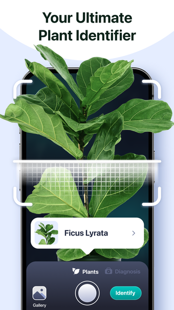 Plant identifier  care арр