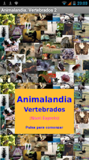 Animalandia Vertebrados Exp