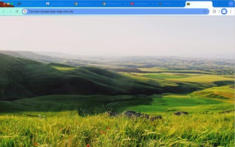 Green meadow on mountain