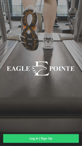 Eagle Pointe Recreation