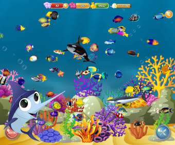 Fish Raising - My Aquarium