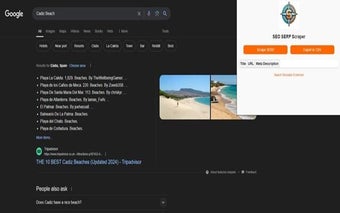 SEO SERP Scraper