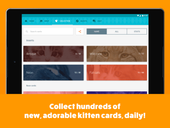 Kitten Cards