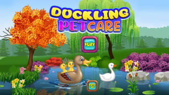 Duckling Pet Care:Daycare Game