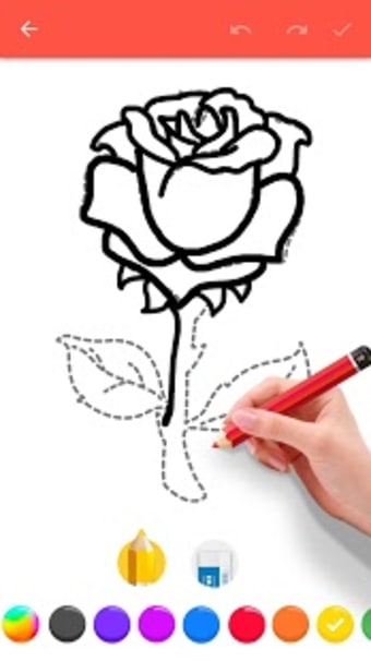 Draw Flowers