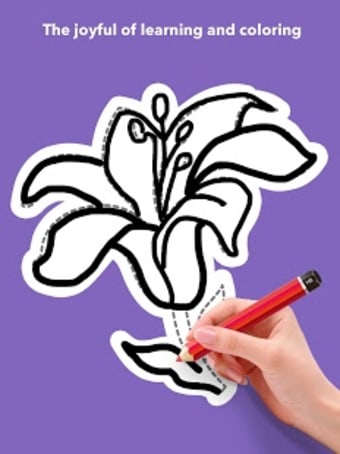 Draw Flowers