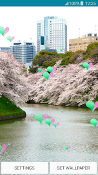 Live Wallpapers  Sakura