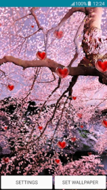Live Wallpapers  Sakura