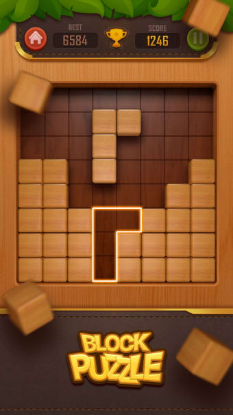 Wood Block Puzzle - 3D