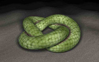 3D scene of a snake rolling on the ground