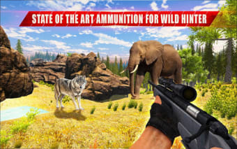 Animal Hunting Sniper Shooter: Jungle Safari