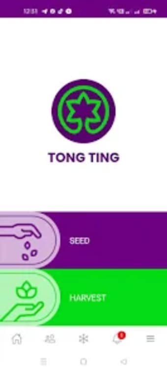 Tong Ting