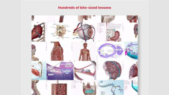 Anatomy & Physiology: Intro of Human Body Systems