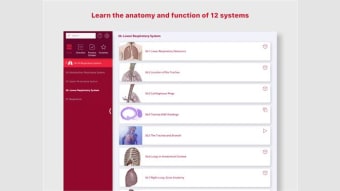 Anatomy & Physiology: Intro of Human Body Systems
