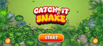 Catch It-Snake