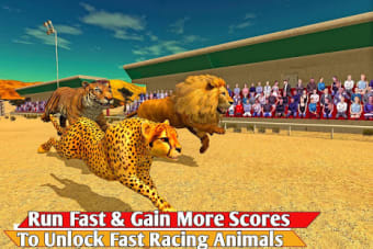 Savanna Animal Racing 3D