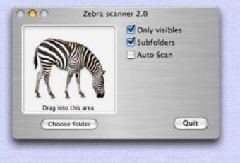 Zebra scanner