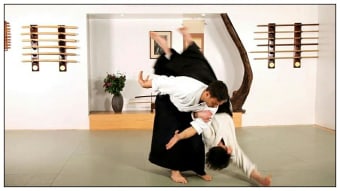 Learn aikido and martial arts