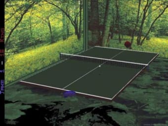 Ping Pong 3D
