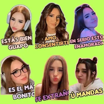 Domelipa wastikers HD