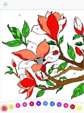 Paint by Number Free Coloring Book