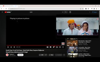 YouTube PiP Extension