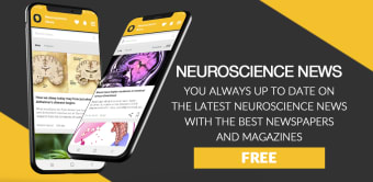Neuroscience 24h | Mind & Brain