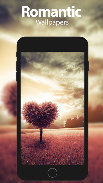 Love Wallpapers  Backgrounds