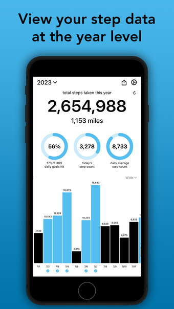 Step Year: Pedometer 2024