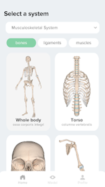 HUMIO Anatomy Atlas