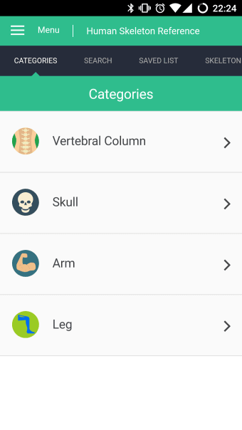 Human Skeleton Reference Guide
