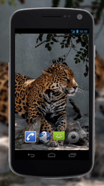 4K Jaguar Live Wallpaper