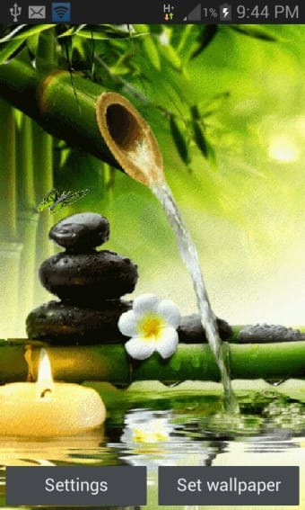 Bamboo Water Live Wallpaper APK for Android - Download