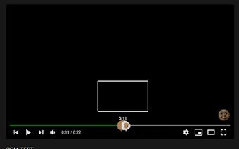 Guinea Pig Youtube Progression Bar