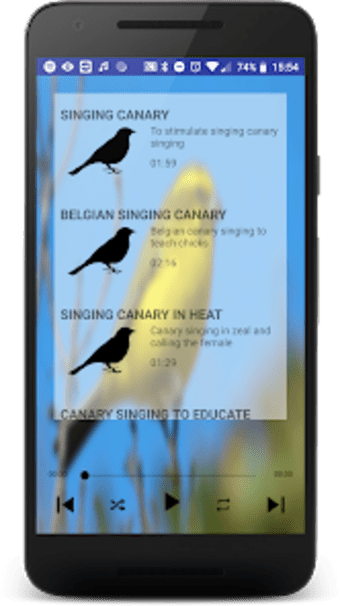 Free Singing canaries