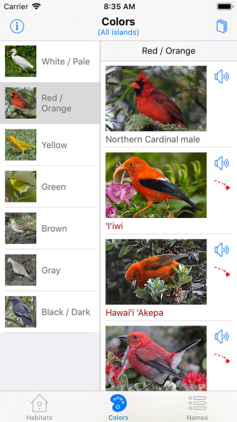 Bird ID Hawaii
