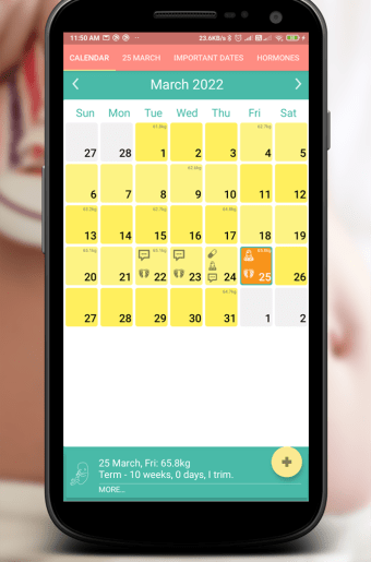 Pregnancy Calendar