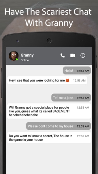 Grannys Fake Chat Video Call