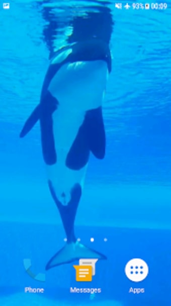 Orca Whale Video Wallpaper