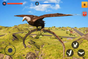 Eagle Simulator Game 3D