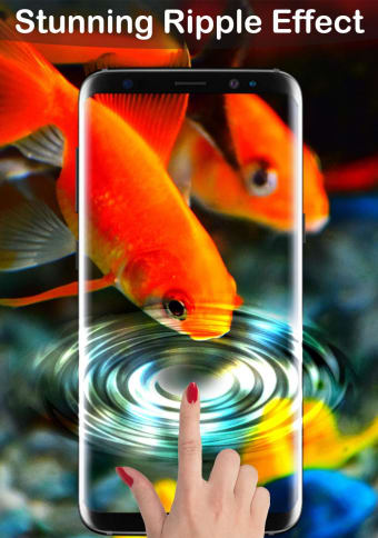 Fish Lock Screen Live Wallpaper