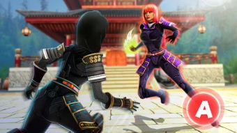 Ninja Kung Fu Fighting 3D Cham