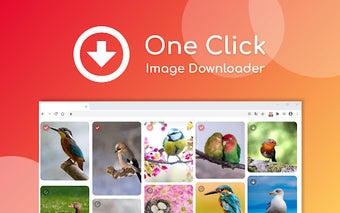 one click image downloader