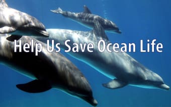 OCG - Saving Ocean Life